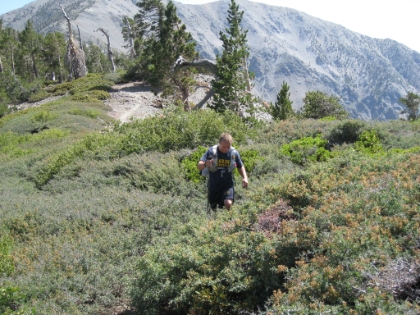 Dustin making his way through the thorny bushes grown over the trail.