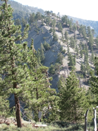 A slightly zoomed in view from the fire road at the point where we pick up the Backbone trail and enter the Sheep Mountain Wilderness area. The ridge leading up to Pine Mtn. is in the background.