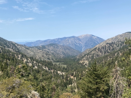 Looking down at Fish Creek meadow below.