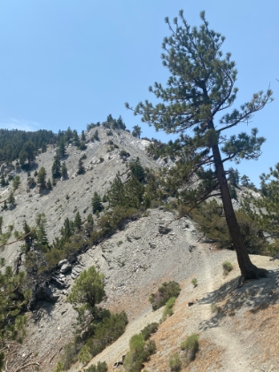 Steep, narrow, and dicey. What fun!