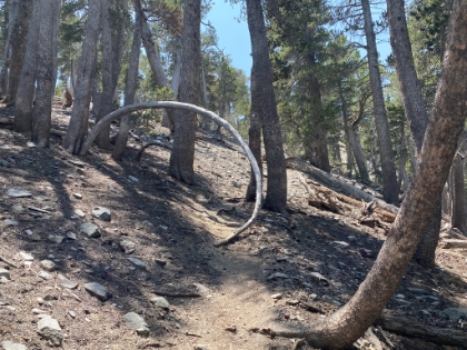 I just have to take this photo every time I'm here.