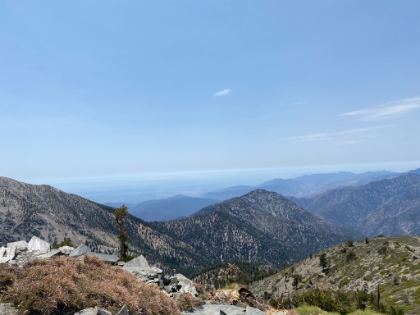 Iron Mtn from the top of Pine.