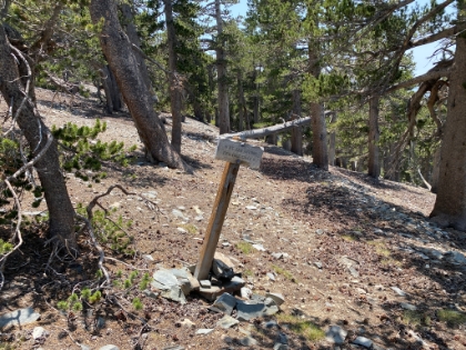 The Fish Fork Creek trail looks like it has all but disappeared. I need to try it again sometime.