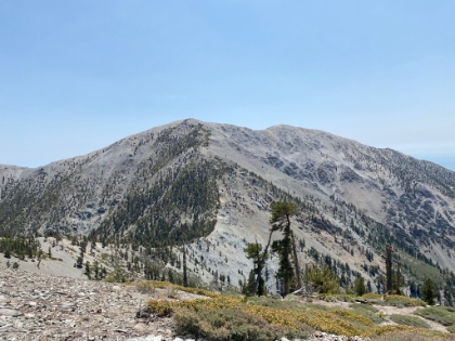 Approaching Dawson. This never fails to be one of the best, and most disheartening, views in all of SoCal. Just when you think you're almost there, you have to drop 800' and then gain 1,200' more.