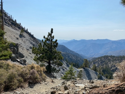 Back to the saddle below Dawson where I take my lunch break. Much more peaceful than on the summit.