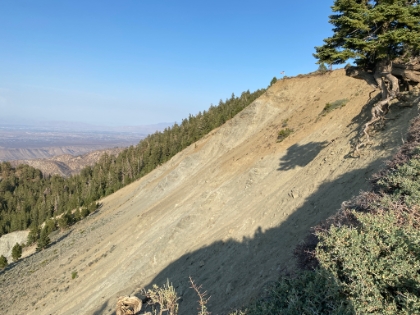 On the way back I decided to follow a little use trail along the rim of the backside bowl. I made it about halfway up to the flag pole before the path got too overgrown with the spikey shrubs (white thorn?) that tear up your legs. End do another tough but great day on the backside of Baldy.