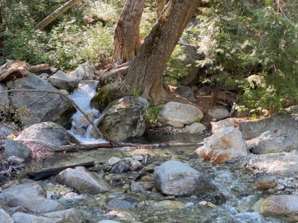 Heading up Icehouse Canyon with a decent amount of water still flowing.