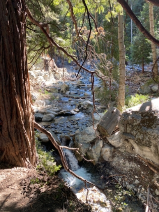 More Icehouse shots.