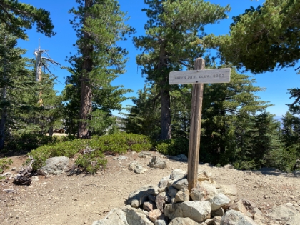 The first of the Three T's- Timber.