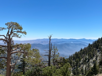 Looking the other way from the saddle.