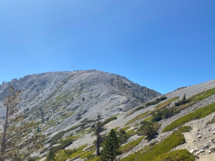 The final ascent up Baldy.
