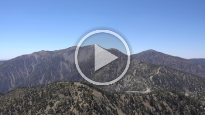 360 view from the top of Telegraph.