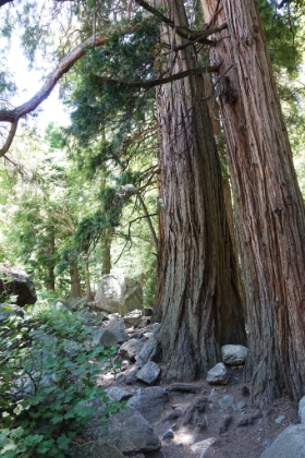 Always nice single tracked here. Not quite as crowded as usual, probably because it was an unusually hot day.