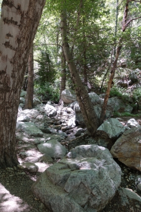 The creek was low but still flowly nicely.