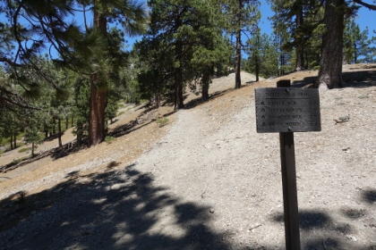 Made it to the saddle. Now time for the Three Ts.