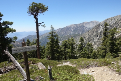 Made it to the top of Timber.