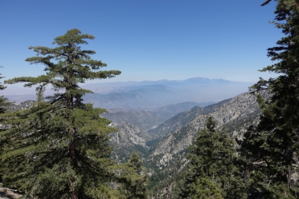 The saddle between Timber and Telegraph. It's a hot and extremely dry day. There is absolutely zero breeze, so the air is just stifling. I start to realize that I'm going through water fast.