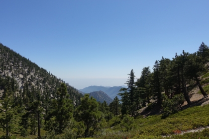 The saddle between Telegraph and Thunder. There's another roughly 900' loss getting down here, all of which has to be climbed up again of course.