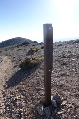 Last leg, heading down the Mt Baldy Trail aka the Bear Canyon trail.
