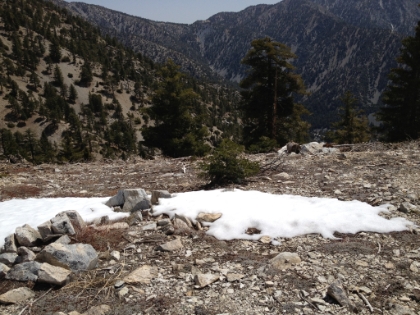 Our first snow sighting.