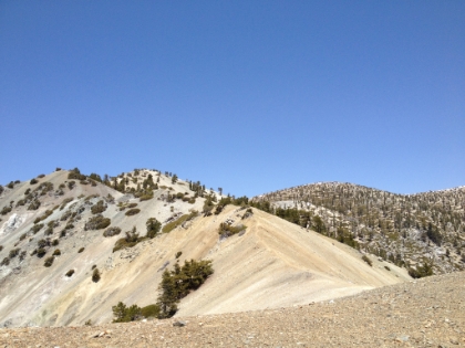 The trail winds along the ridge similar to many of the other trails in the Baldy area.