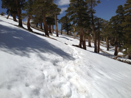 The heaviest snow crossing of the day.