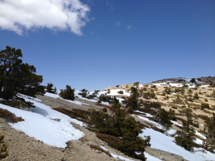 An odd combination of snow and moonscape.