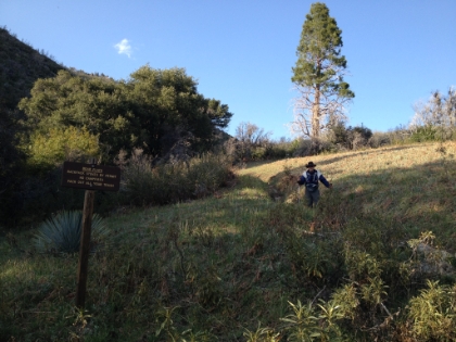 Heading back down through Bear Flats.