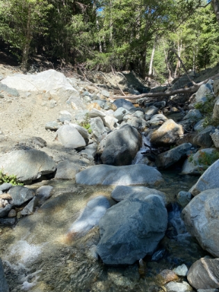 Third Stream Crossing, with some decent water flow in late July.