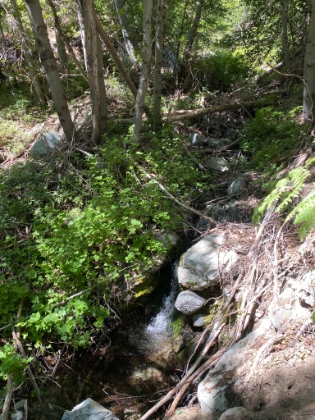 The last bit of water before making the climb up to Icehouse Saddle.