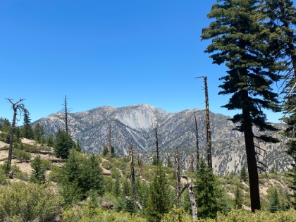 Another view of Baldy and the bowl.