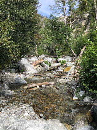 First creek crossing. Good to see some water flowing after such a dry winter.