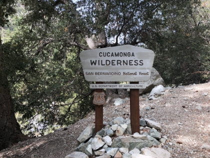 Into the wilderness...