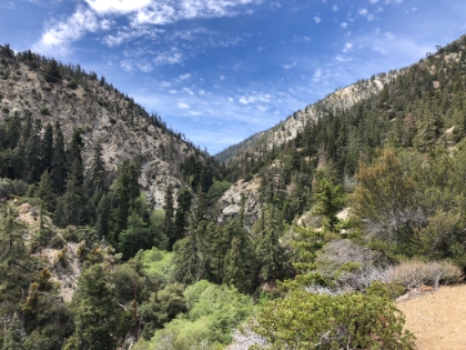 Great canyon views as the trail climbs.