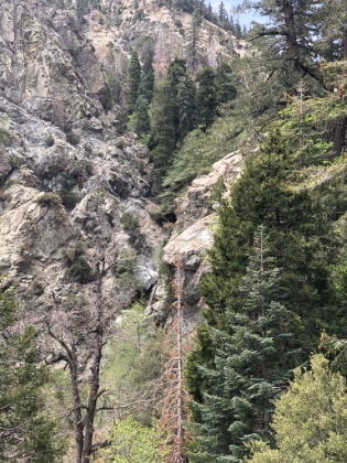 The waterfall. I don't remember seeing it last time I was here. You can't quite see the bottom, and it's a little ways away, so it's probably a decent sized falls.
