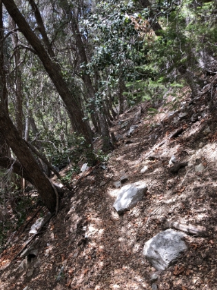 The trail is almost indiscernible in places, which was a lot of fun on the way up. But a little tougher on the way down, especially in the dim light. I lost the trail pretty badly once on the way back.