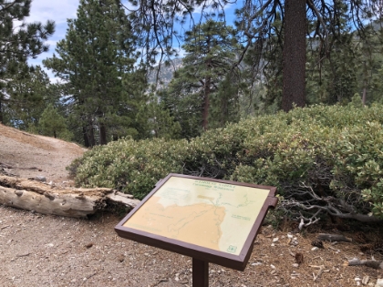 The saddle. After seeing only one pair of people the whole way up, the saddle is a zoo. Remind me to never head up here on a weekend again! Now it's on to Cucamonga Peak.