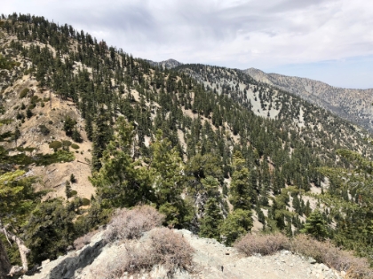 This is the spot where my Dad and I had to turn around last time after running out of time. No rain or thunderstorms this time, and no ruined cameras.