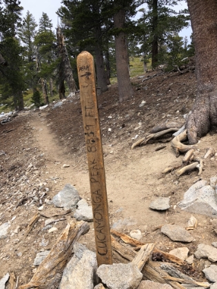 Last scramble to the peak.