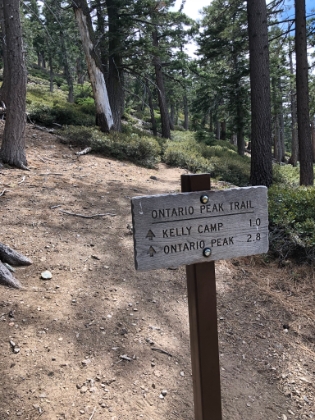Back down to the saddle. It would be sooo easy to just head the 5.5 miles back down to the car from here. But no, I just have to add on another 5.6 round trip up to Ontario Peak.
