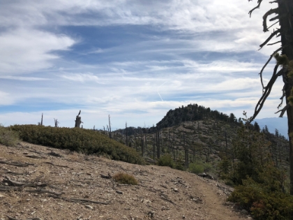 Or not. There are a couple brutal false summits on the way. That is the real summit.