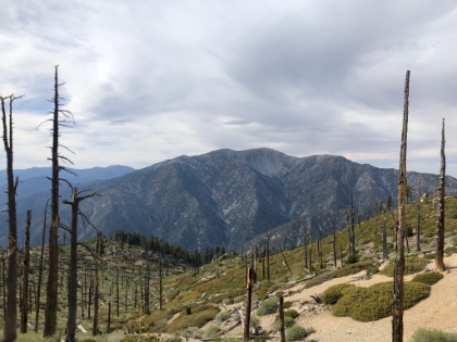 Great view of Baldy and the bowl.