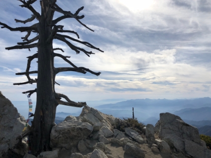 Made it. Ontario Peak at 8,693'. The views may not be quite as epic as from Cucamonga, but they're close, and it's a lot less crowded. I had the peak to myself the entire time. That made the views seem that much better!