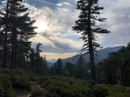 Starting to get dim as I head down. I didn't see a single human the whole way down. I made it to the car with the last rays of light just on the verge of needing the headlamp. A tough but awesome day on the trail!