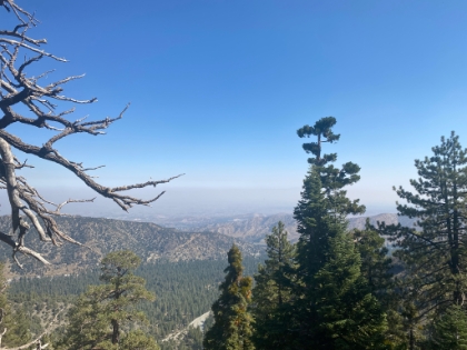 There's a hazy, brownish layer of smoke everywhere today from the Bobcat Fire.