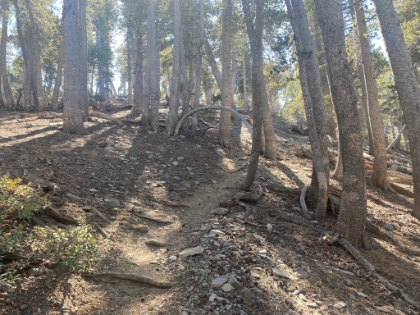 Almost to the top of Pine Mtn.