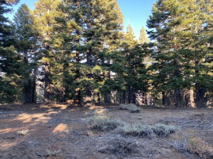 The summit of Wright Mtn.