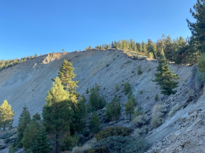 Almost back to the Acorn Trail with nice late afternoon lighting on the bowl. End to a fun, and much needed, day on the trail.