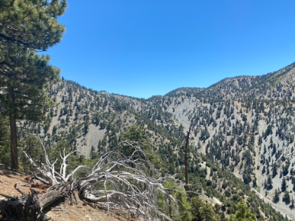 A look out at the Notch.