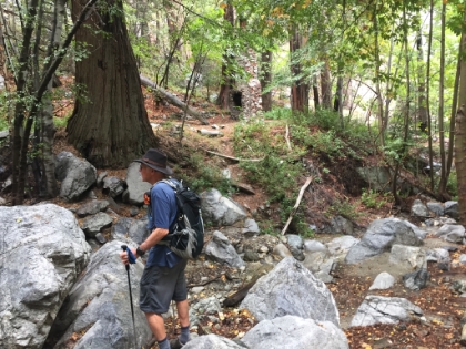 But the storm blew through fairly quick and then left beautiful, wet colors behind. Fortunately, I still had my phone with me to take a few more pictures.